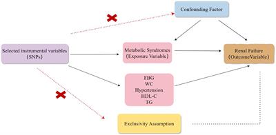 A mendelian randomization study revealing that metabolic syndrome is causally related to renal failure